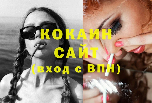 мдпв Кодинск