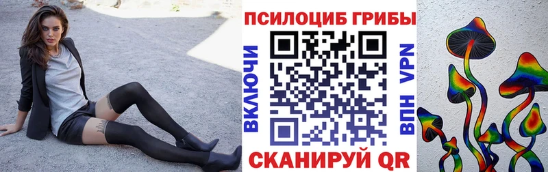 Галлюциногенные грибы прущие грибы  Корсаков 